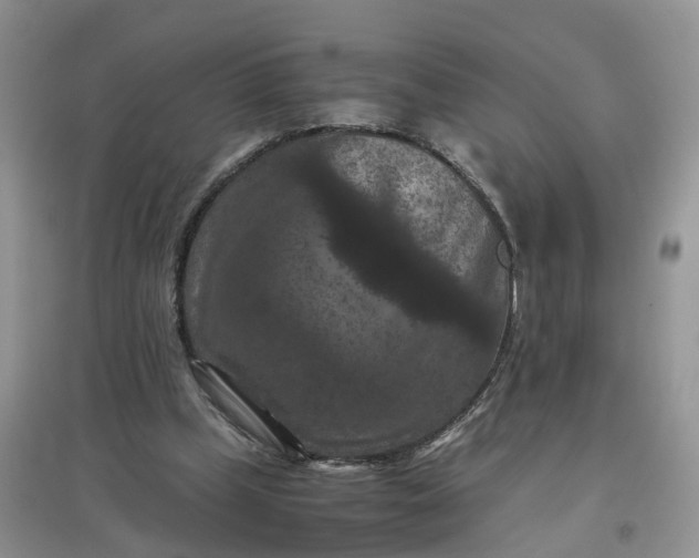 X0000097660249200803142138