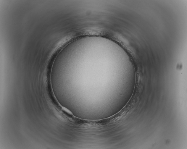 X0000097660250200803142138