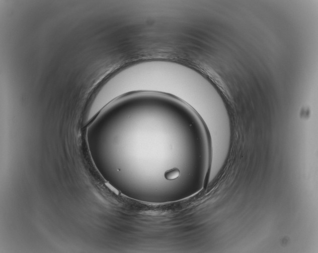 X0000097660251200803142138