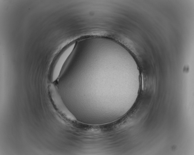 X0000097660252200803142138