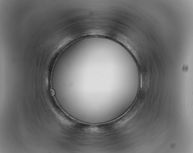 X0000097660253200803142138