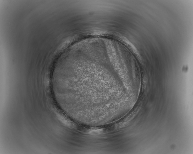 X0000097660257200803142138