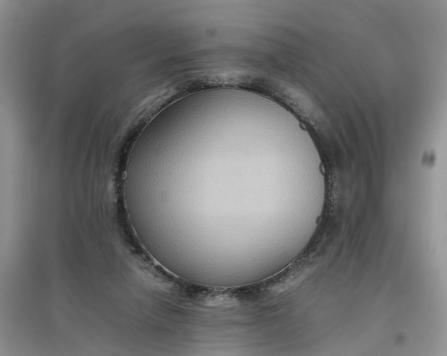 X0000097660258200803142138