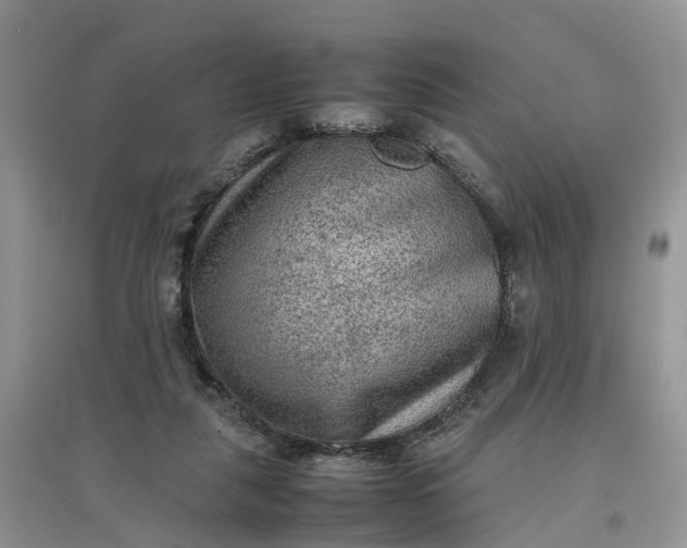 X0000097660259200803142138