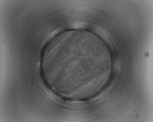 X0000097660260200803142138