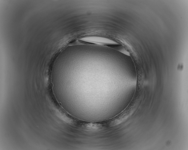 X0000097660261200803142139