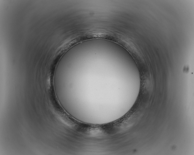 X0000097660262200803142139