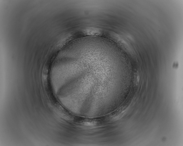 X0000097660263200803142139