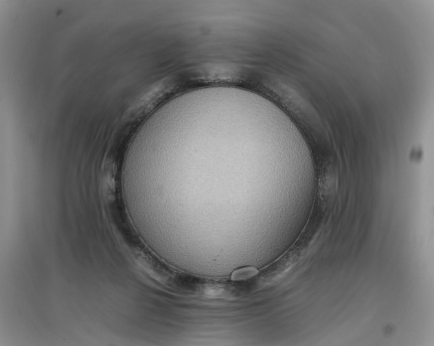X0000097660264200803142139