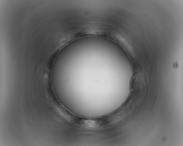 X0000097660265200803142139