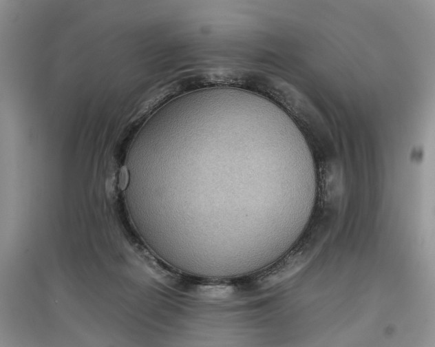 X0000097660266200803142139