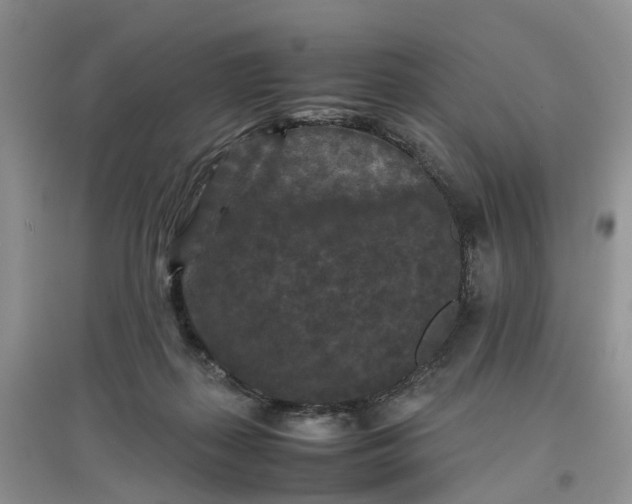 X0000097660267200803142139