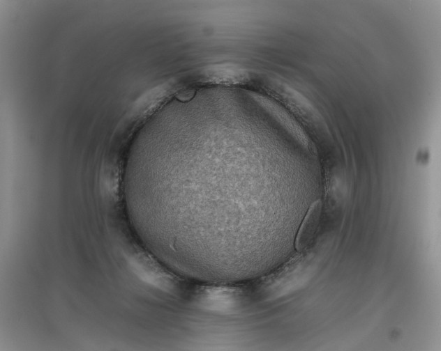 X0000097660268200803142139