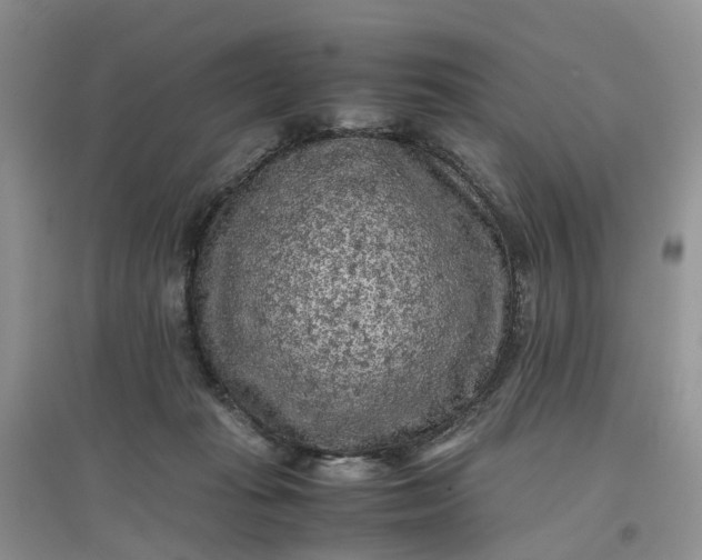X0000097660269200803142139