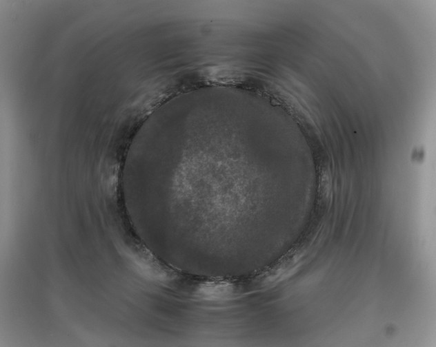 X0000097660271200803142139