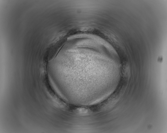 X0000097660272200803142139