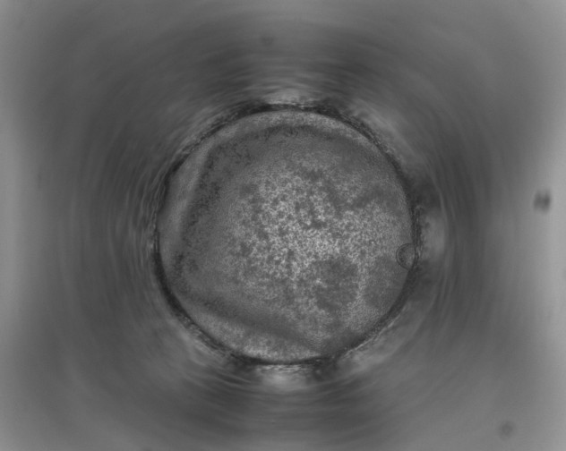 X0000097660273200803142139