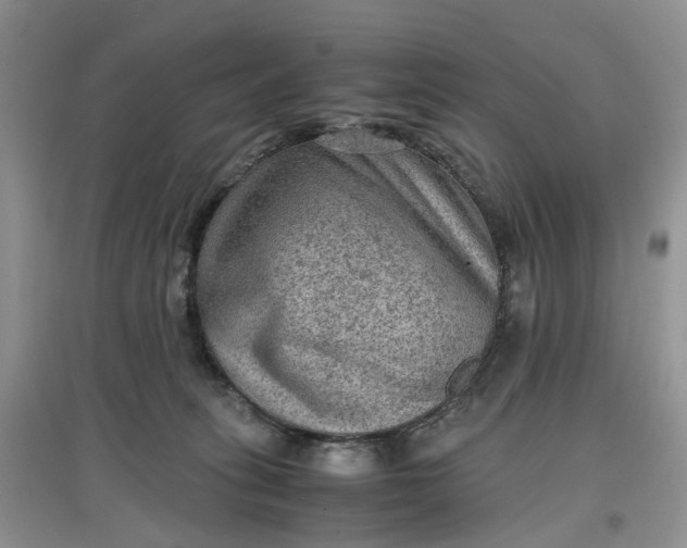 X0000097660275200803142139