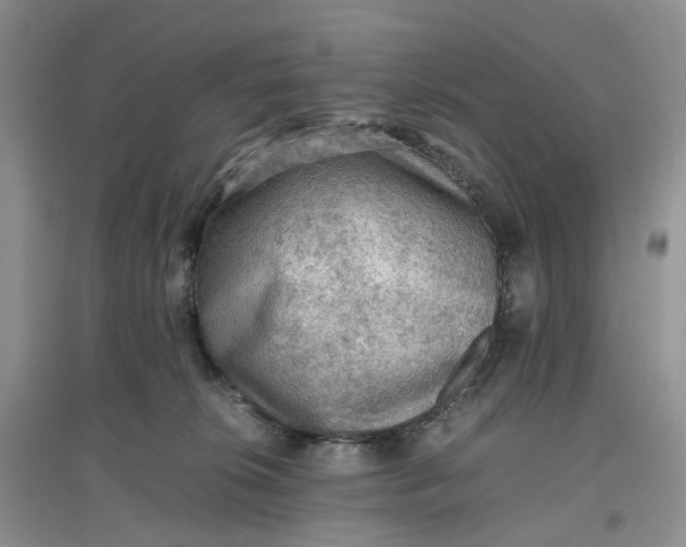 X0000097660276200803142139