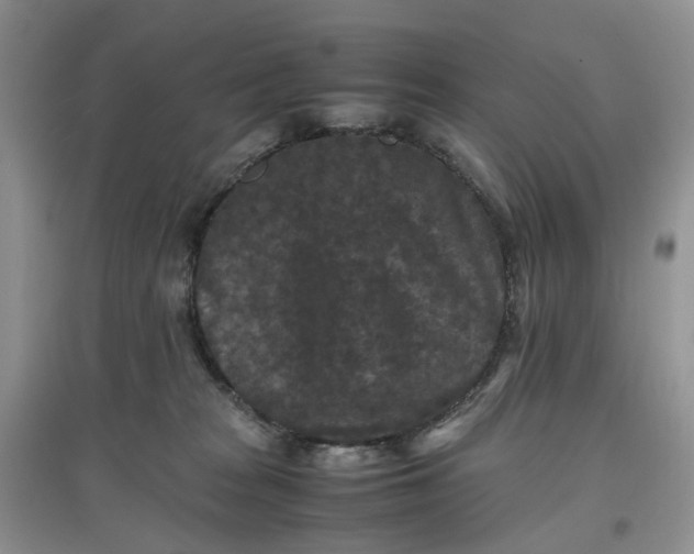 X0000097660277200803142139