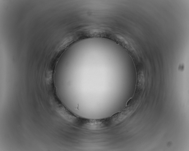 X0000097660278200803142139