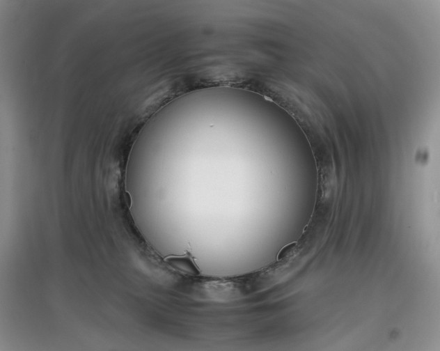 X0000097660279200803142139