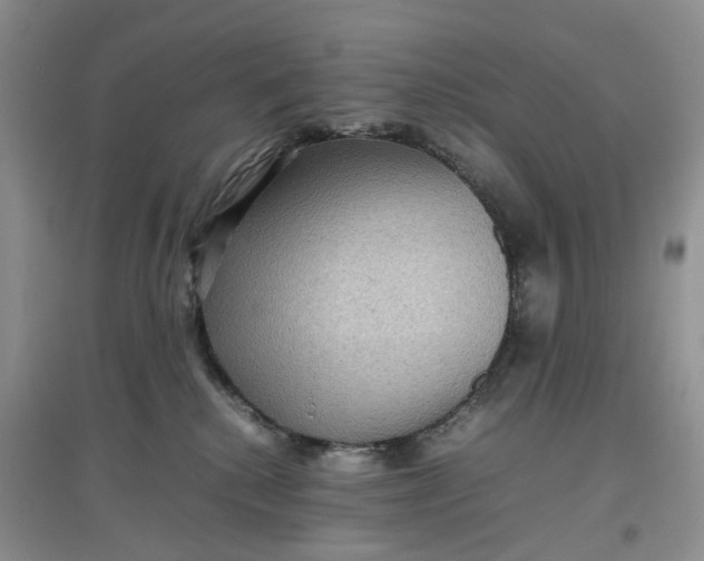 X0000097660280200803142139