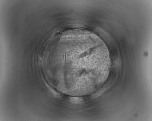X0000097660281200803142139
