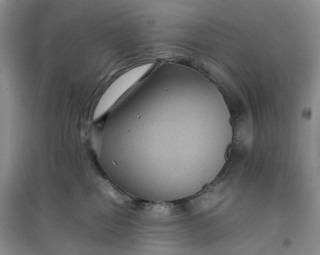 X0000097660282200803142139