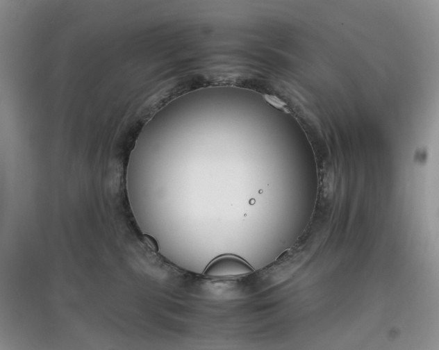 X0000097660283200803142139