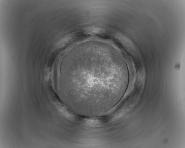 X0000097660284200803142139