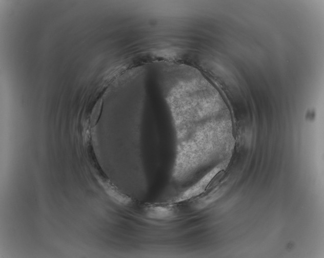 X0000097660285200803142139