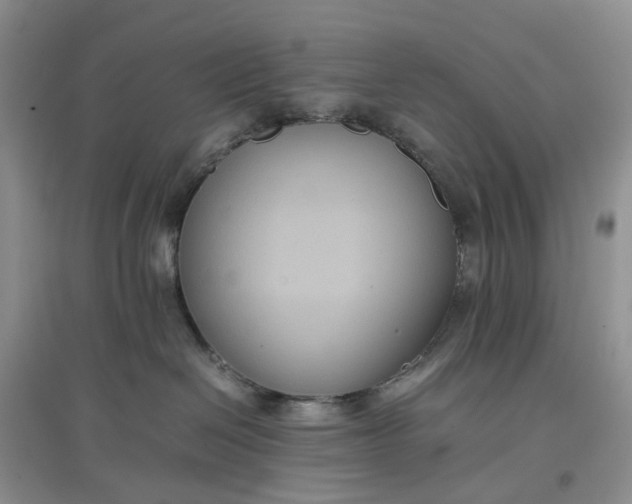 X0000097660286200803142139