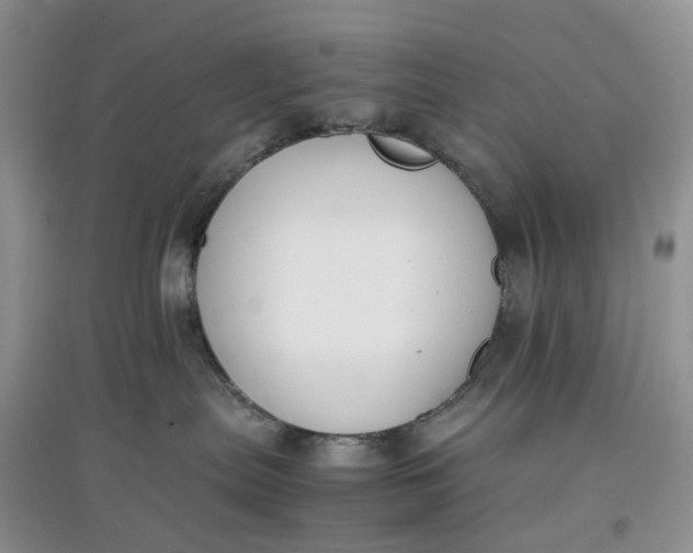 X0000097660287200803142139