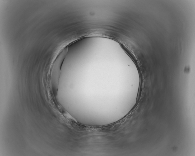 X0000097660289200803142138