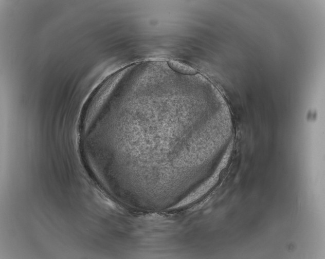 X0000097660290200803142138
