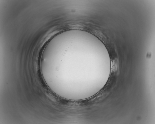 X0000097660291200803142138