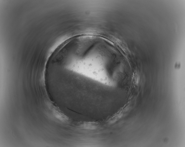 X0000097660292200803142138