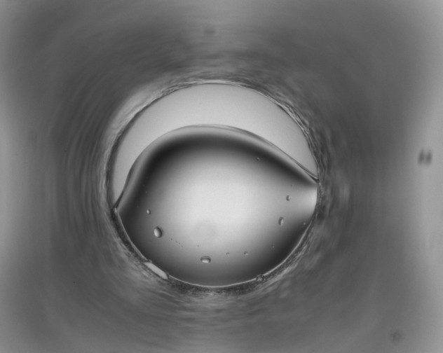 X0000097660293200803142138
