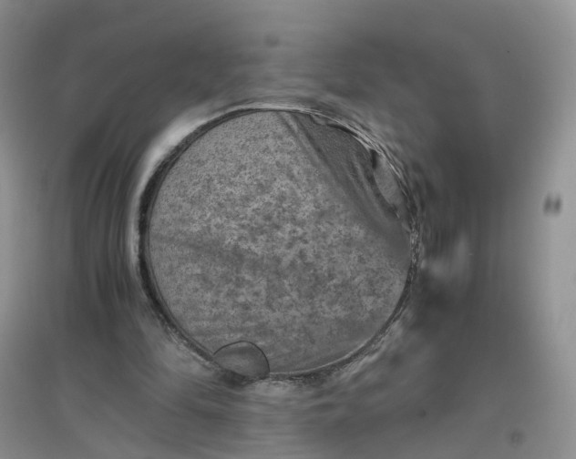 X0000097660294200803142138