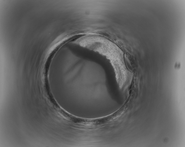 X0000097660295200803142138