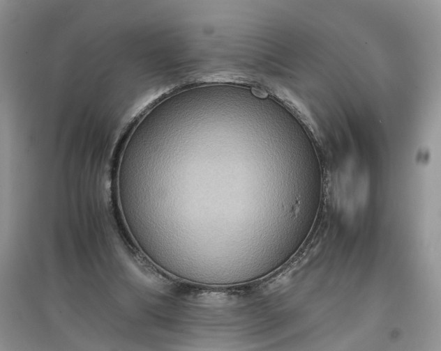 X0000097660298200803142138