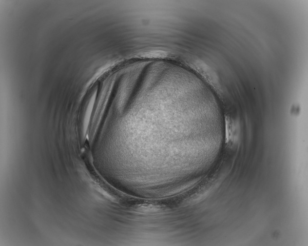 X0000097660300200803142138