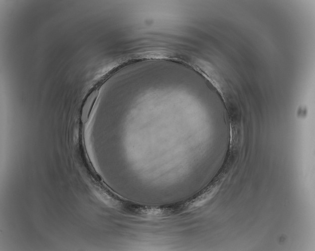 X0000097660301200803142138