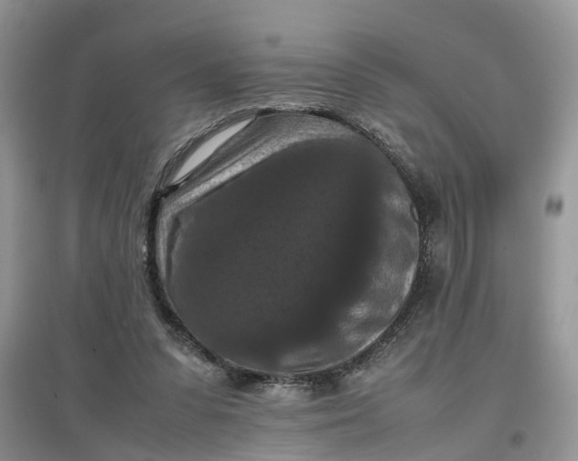 X0000097660303200803142138