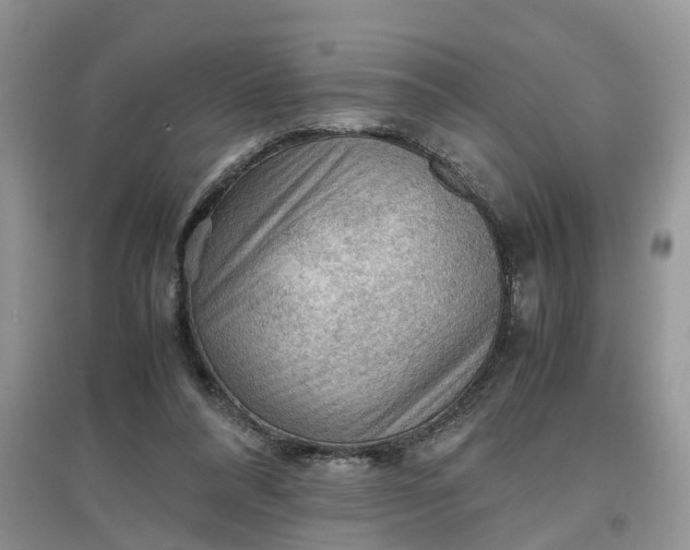 X0000097660304200803142138