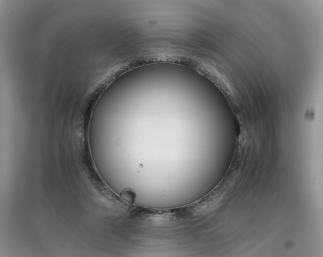 X0000097660306200803142138