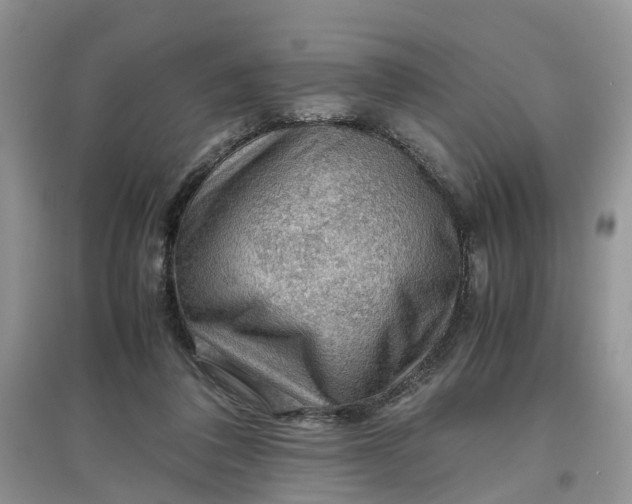 X0000097660308200803142138