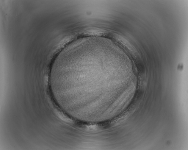 X0000097660309200803142138