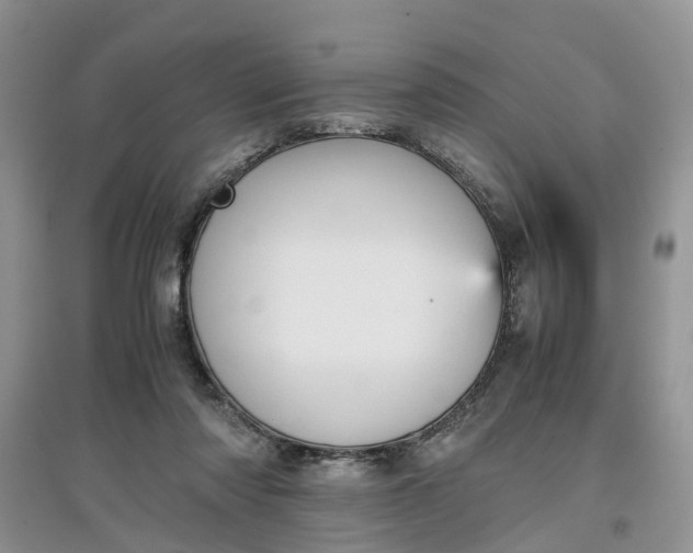X0000097660310200803142138